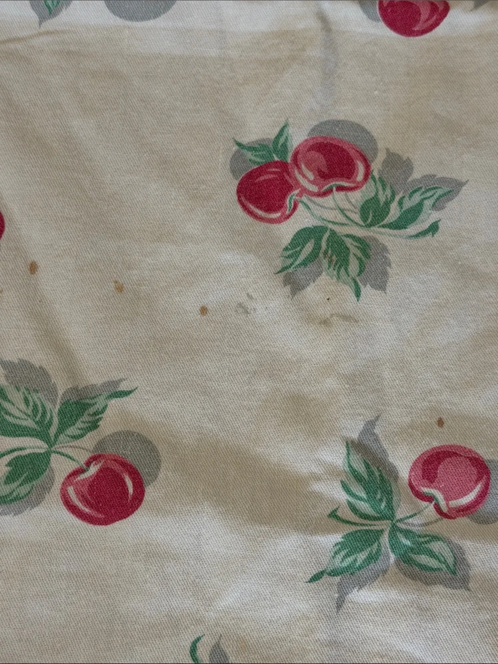 Vintage Square Small Cherries Table Cloth Cover with Napkins